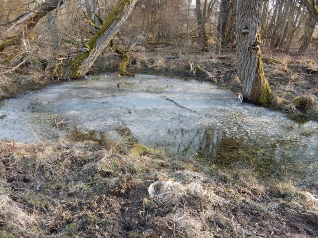 Palohlavy, zaniklá obec pod Ralskem