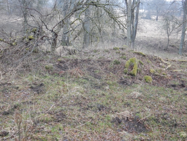 Palohlavy, zaniklá obec pod Ralskem