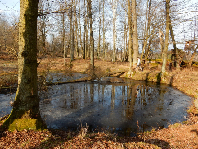 Palohlavy, zaniklá obec pod Ralskem