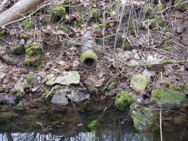 Palohlavy, zaniklá obec pod Ralskem