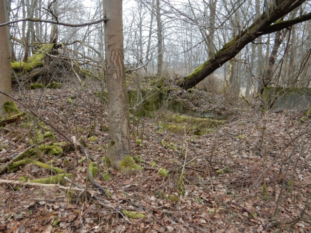 Palohlavy, zaniklá obec pod Ralskem