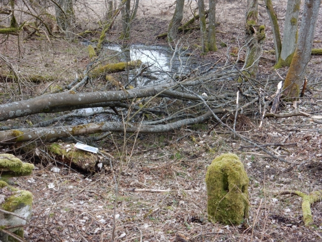 Palohlavy, zaniklá obec pod Ralskem