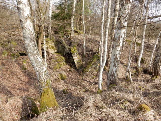 Palohlavy, zaniklá obec pod Ralskem