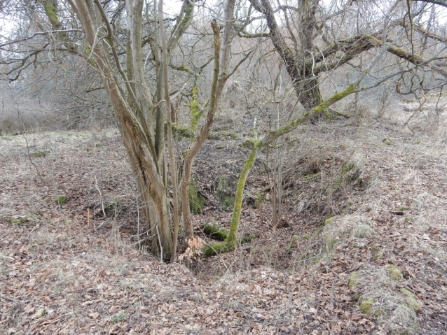 Palohlavy, zaniklá obec pod Ralskem