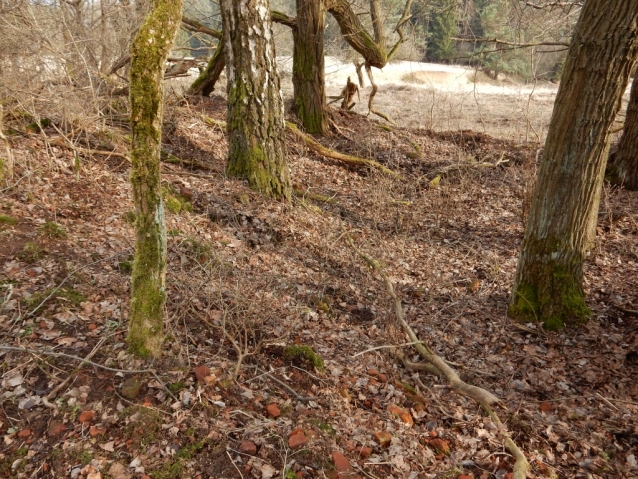 Palohlavy, zaniklá obec pod Ralskem