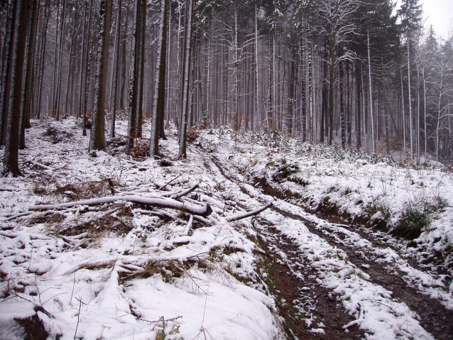 Ralsko, Děvín, Stohánek