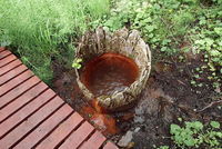 Koňská kyselka (Koňský pramen) nadvakrát Koňská kyselka (Koňský pramen) nadvakrát