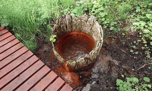 Koňská kyselka (Koňský pramen) nadvakrát Koňská kyselka (Koňský pramen) nadvakrát