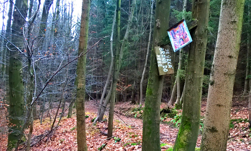 Čertova brázda po vichřici Čertova brázda po vichřici