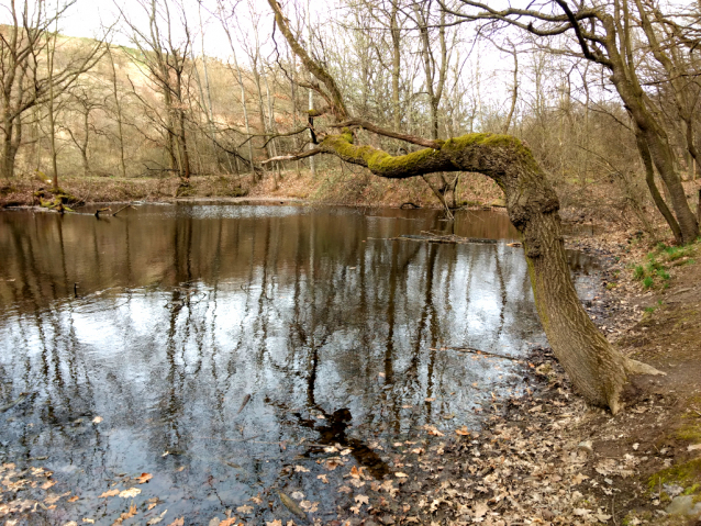 Čtyři póly Prahy - sever, jih, východ, západ 