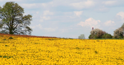 České středohoří AKTUÁLNĚ 2026