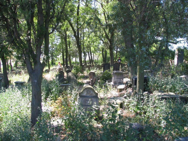 Dovča ve Středohoří