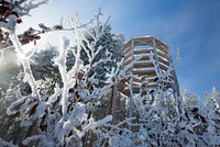 Večerní prohlídky a pohádková zima na Stezce korunami stromů  Večerní prohlídky a pohádková zima na Stezce korunami stromů