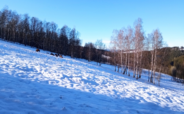 Obří hrad, nejvyšší hradiště, o kterém nikdo nic neví