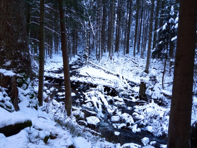 Obří hrad, nejvyšší hradiště, o kterém nikdo nic neví