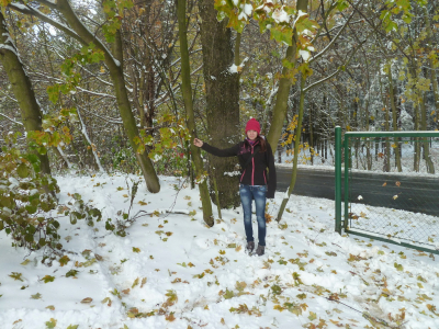 Vysočina AKTUÁLNĚ 2010