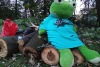 72 hodin: úklid Meandrů Botiče 72 hodin: úklid Meandrů Botiče