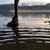 Záchrana travelbugů na dně Hostivařské přehrady