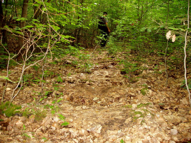 Powertrail Vlečka na Orlík