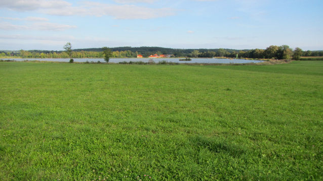 Výlovy rybníků 2019 říjen
