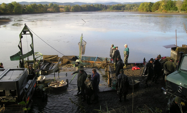Výlovy rybníků 2019 říjen - 2. část