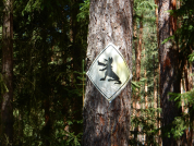 Indiánská moudrost o lidském nitru