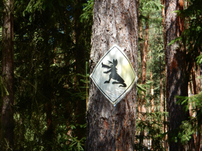 Indiánská moudrost o lidském nitru