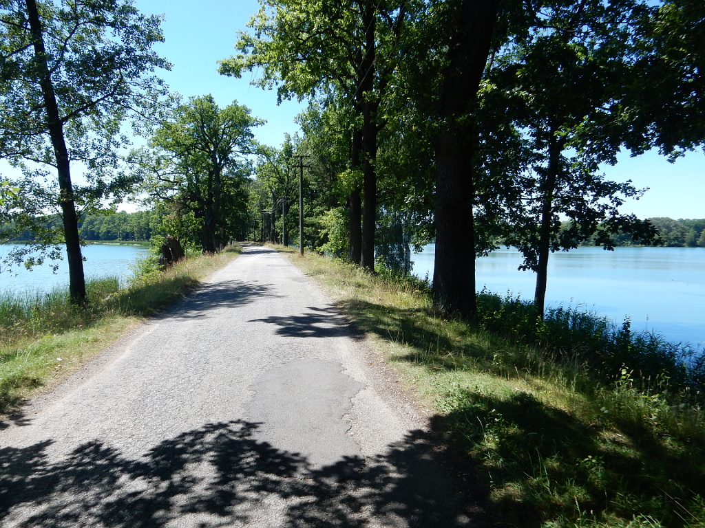 Po hrázi mezi rybníkem Skutek a Dobrá vůle vede silnice.