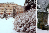 Vánoční výstavy na východní Moravě Vánoční výstavy na východní Moravě