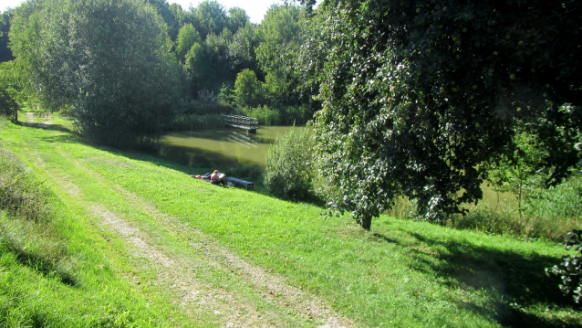 Výlovy rybníků 2019 říjen - 2. část