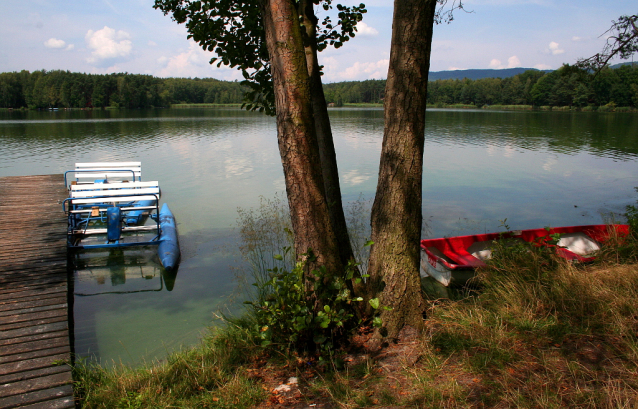 Výlovy rybníků 2021 září