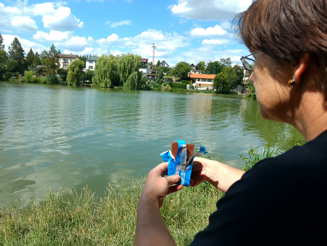 Koupání v Plzni: venku i v bazénu