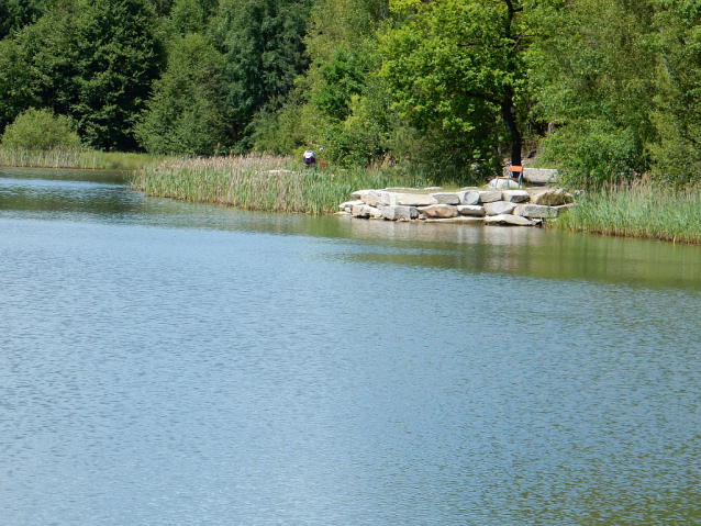 Koupací výlet k Boleveckým rybníkům na kole či koloběžce 