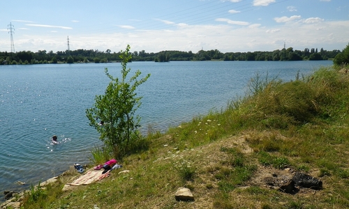 V Labi se topí plavci V Labi se topí plavci