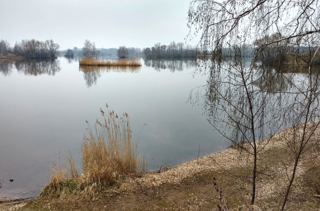 Černá struha na Labi ve Starém Kolíně