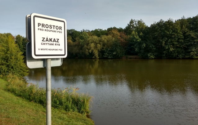 Výlovy rybníků 2019 říjen