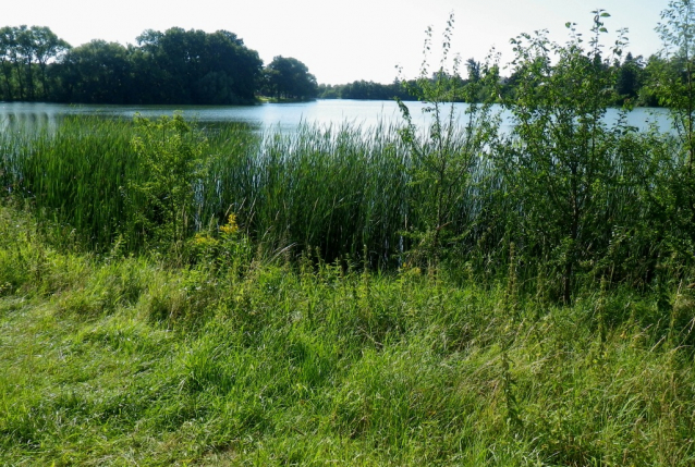 Výlovy rybníků 2023 říjen - 2. část