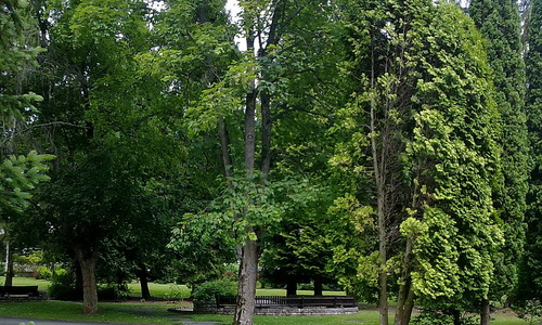 Karpatská cyklistická cesta Karpatská cyklistická cesta
