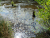 Voděrady - Jevany cross country