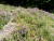 Voděrady - Jevany cross country