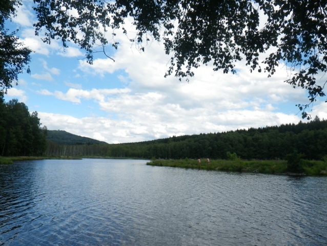 Václavský rybník zrcadlí Přimdu