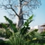 10 Reasons Why You Should Travel to Zanzibar 10 Reasons Why You Should Travel to Zanzibar