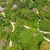 10 Reasons Why You Should Travel to Zanzibar 10 Reasons Why You Should Travel to Zanzibar