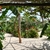 10 Reasons Why You Should Travel to Zanzibar 10 Reasons Why You Should Travel to Zanzibar