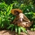 10 Reasons Why You Should Travel to Zanzibar 10 Reasons Why You Should Travel to Zanzibar