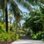 10 Reasons Why You Should Travel to Zanzibar 10 Reasons Why You Should Travel to Zanzibar