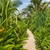 10 Reasons Why You Should Travel to Zanzibar 10 Reasons Why You Should Travel to Zanzibar