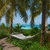 10 Reasons Why You Should Travel to Zanzibar 10 Reasons Why You Should Travel to Zanzibar