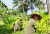 10 Reasons Why You Should Travel to Zanzibar