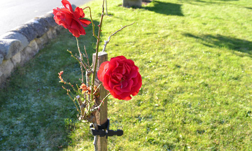 Dojmy a doporučení z cesty do Dublinu Dojmy a doporučení z cesty do Dublinu